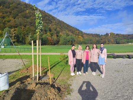 Rožnati oktober - sajenje drevesa, foto Obcina Mirna (11)